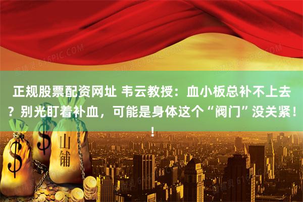 正规股票配资网址 韦云教授：血小板总补不上去？别光盯着补血，可能是身体这个“阀门”没关紧！